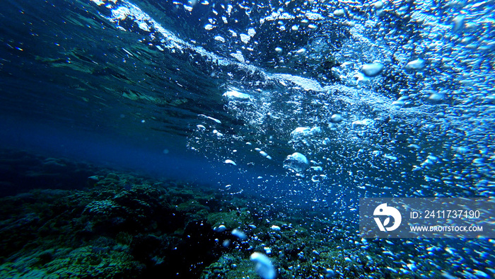 many air bubbles rise from the bottom of the sea