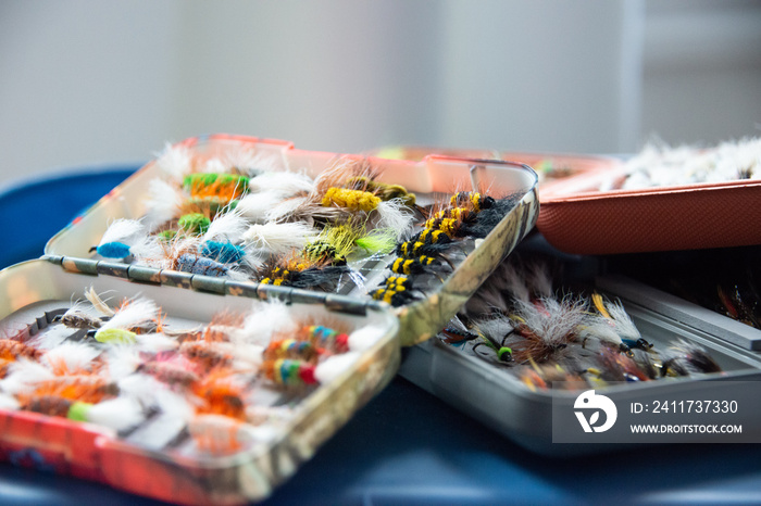 Multiple colorful salmon flies in plastic fly boxes. Some flies are bumble bee style, nymph and dry flies. The angler bait has white feathers as wings. The fishing hooks are covered in colorful string