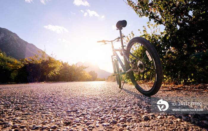 Healthy lifestyle. Close up of mountain bicycle on the road against sunny sky.