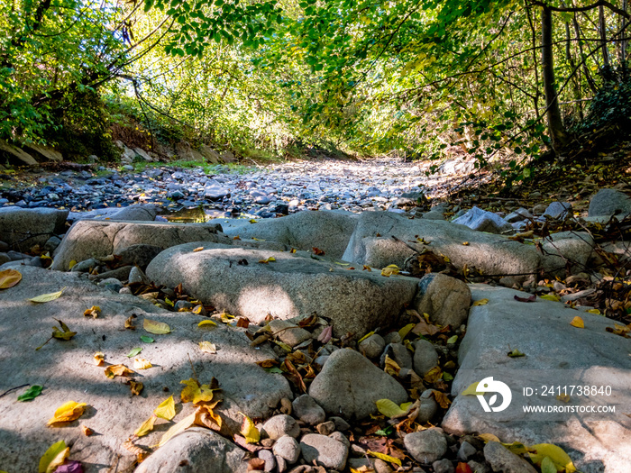 rocks in dry river bed