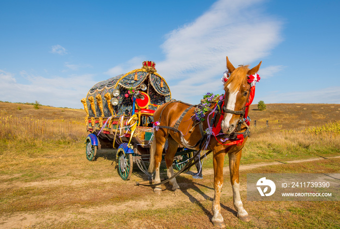 a horse with a brightly decorated wagon in a field