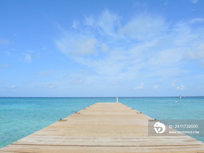 Landscape of a pier leading out to the ocean