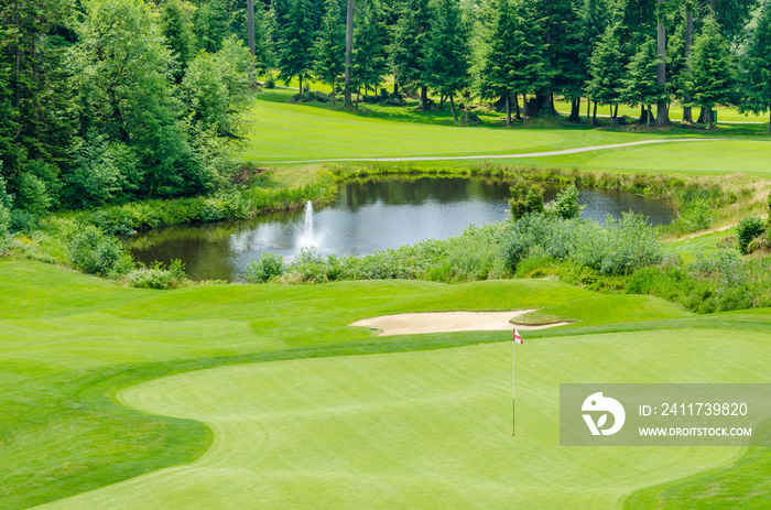 Golf course with gorgeous green and pond.