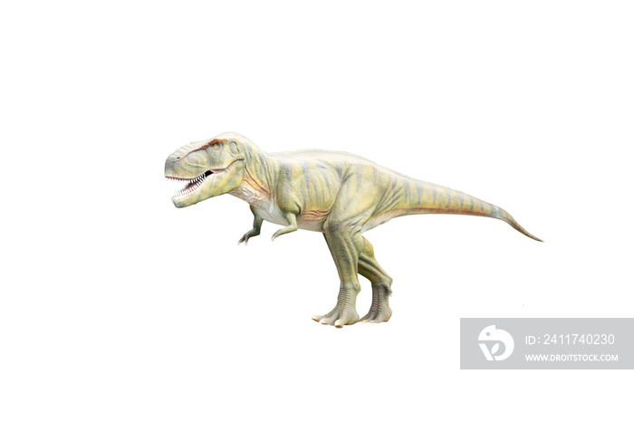 Isolated tyrannosaurus rex transparent PNG