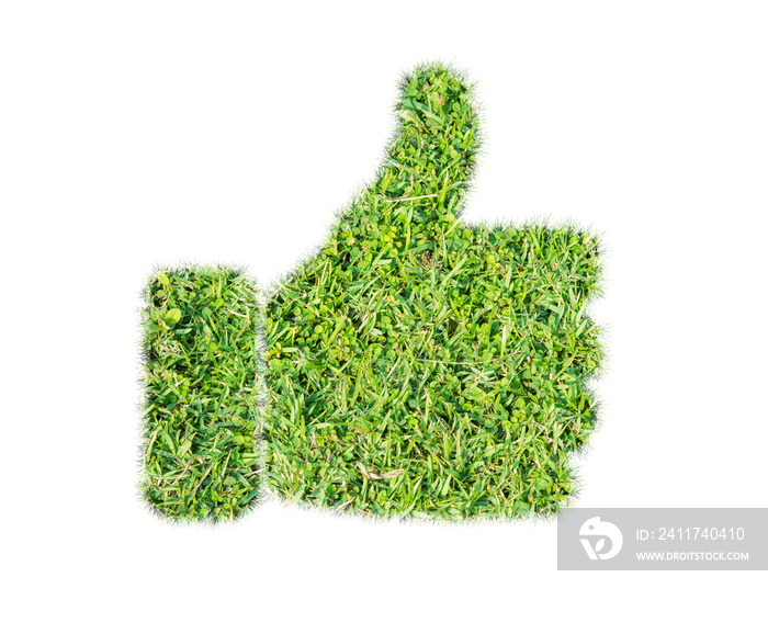 Green grass thumbs up icon