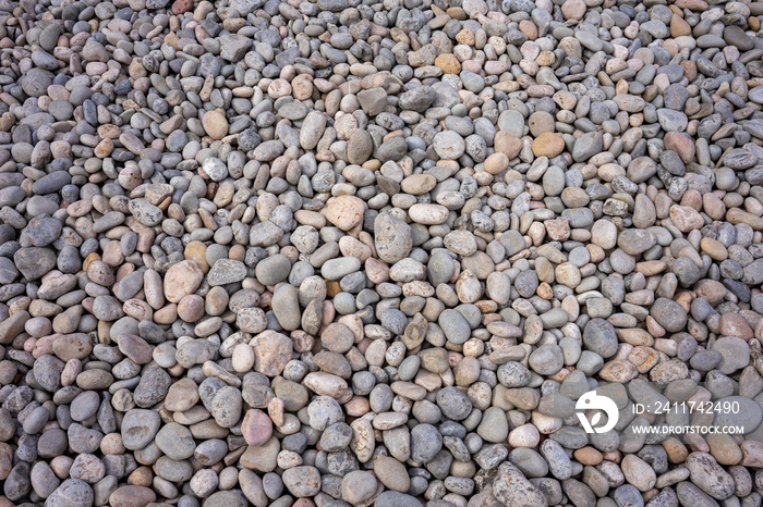 Texture of many gray stones. Pebbles of a river bed. Full surface texture of round smooth pebbles.