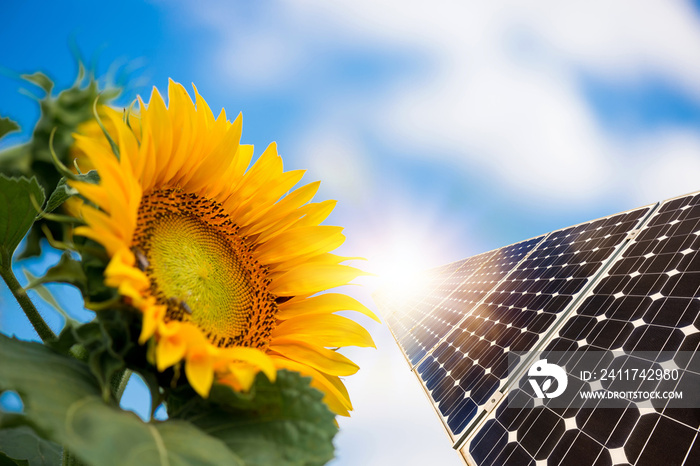 Photo collage of solar panels against the crops background - conceptual image