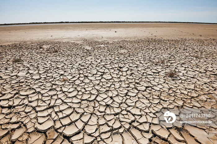 arid and waste land