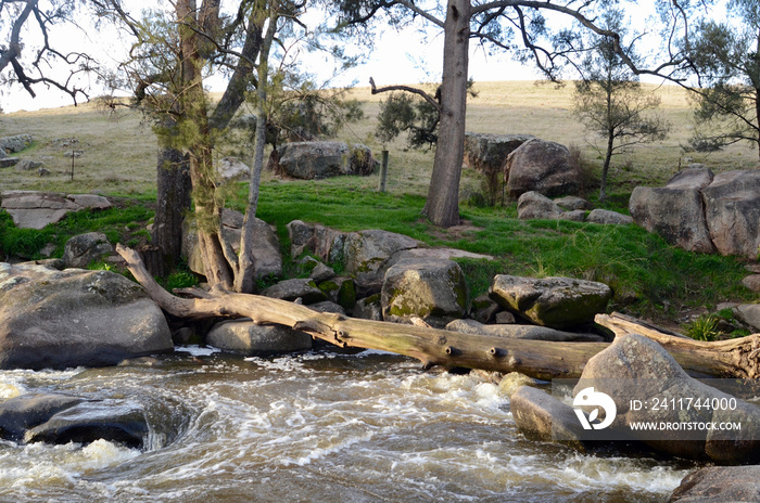 A view of a stream flowing through the Flat RockReserve near Bathurst, Australia