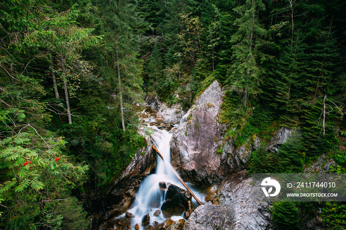 Tatra National Park, Poland. Waterfall Wodogrzmoty Mickiewicza I