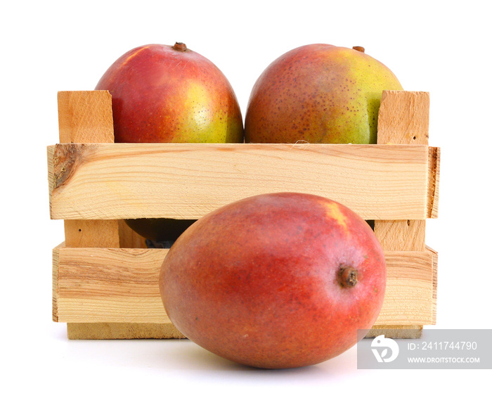 fresh mango fruit in a wooden box on a white background