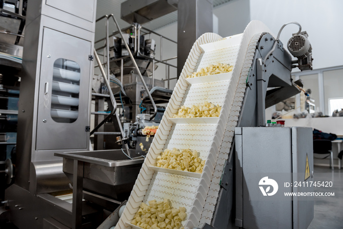 Conveyor line for frying snacks and chips in a modern factory