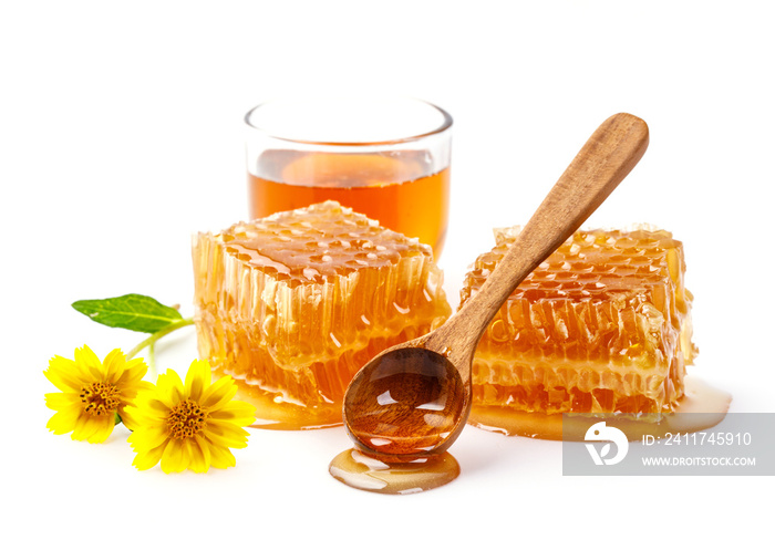 Honeycomb with jar and honey spoon and folwer isolated on white background