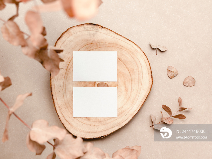 Visit card mockup with organic elements and leafs. Natural branding concept