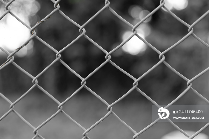 Close up wire mesh steel with natural background