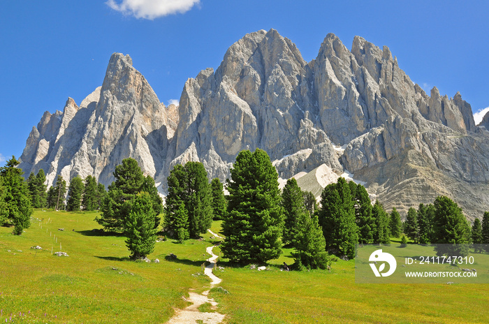 Beautiful Sassolungo mountain range