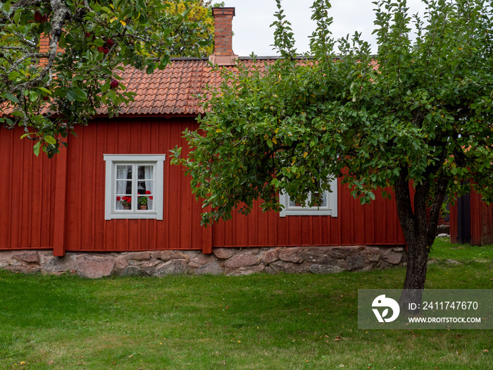 A typically red wooden cottage and barn in a Swedish summer landscape