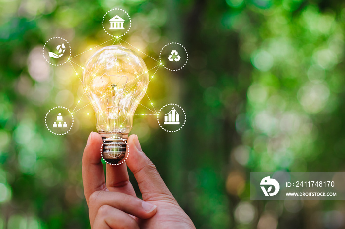 Hand holding light bulb against nature for environmental, social, and governance in sustainable and ethical business on the Network connection, ESG icon concept.