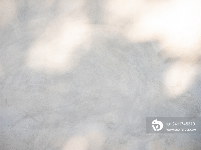 abstract background texture of shadows leaves on a concrete wall