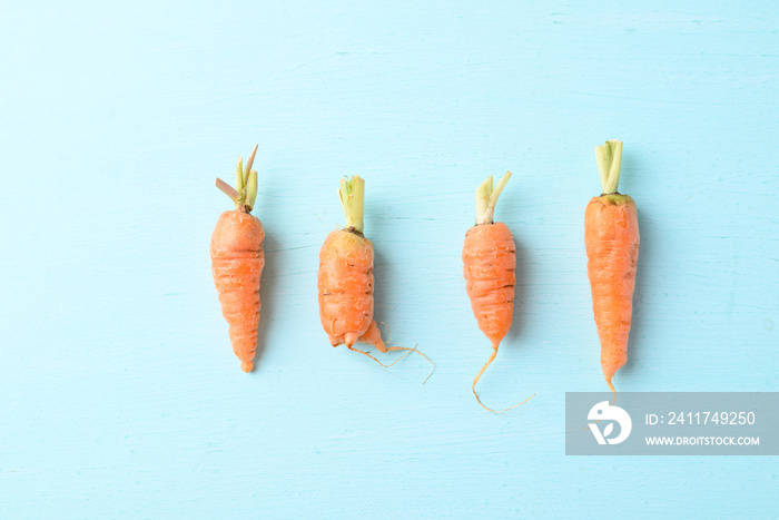 Organic carrots on light blue background, imperfectly shape, ugly vegetable, Food trend