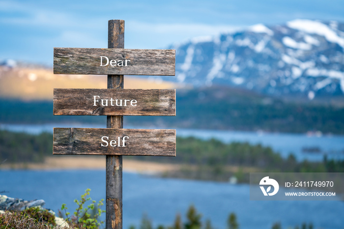 dear future self quote written on wooden signpost outdoors in nature during blue hour. Mountain scenery background.