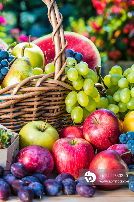 Variety of fresh ripe fruits in the garden.