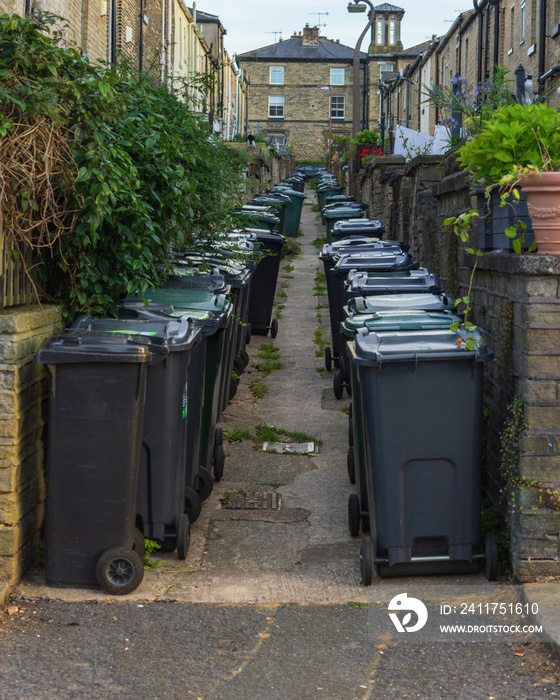 While the introduction of wheelie bins has made the removal of rubbish easier and more efficient they can be an eyesore especially when crowded into an alley