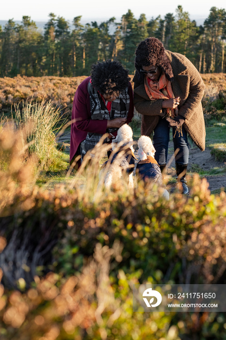 Two women and two dogs hiking together