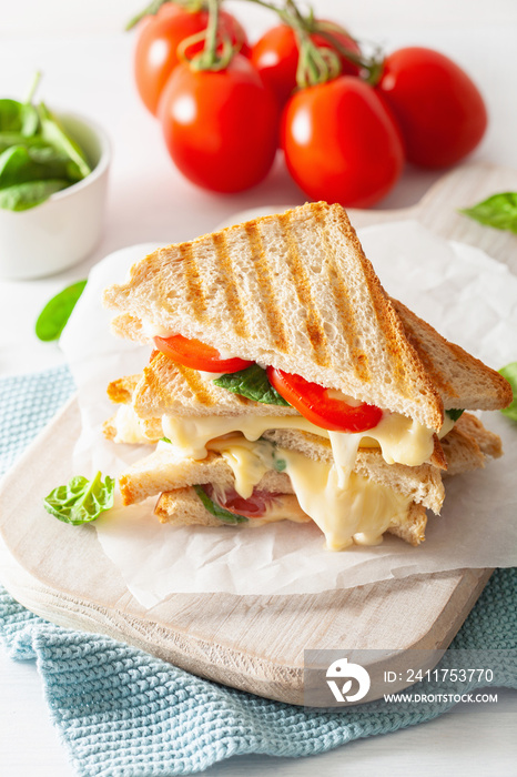 grilled cheese and tomato sandwich on white background