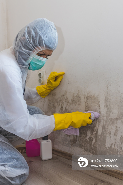 Woman of cleaning service removes mold from wall using spray bottle with mold remediation chemicals