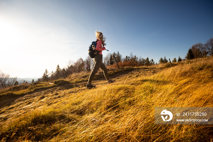 Hiker young woman with backpack rises to the mountain top on mountains landscape background