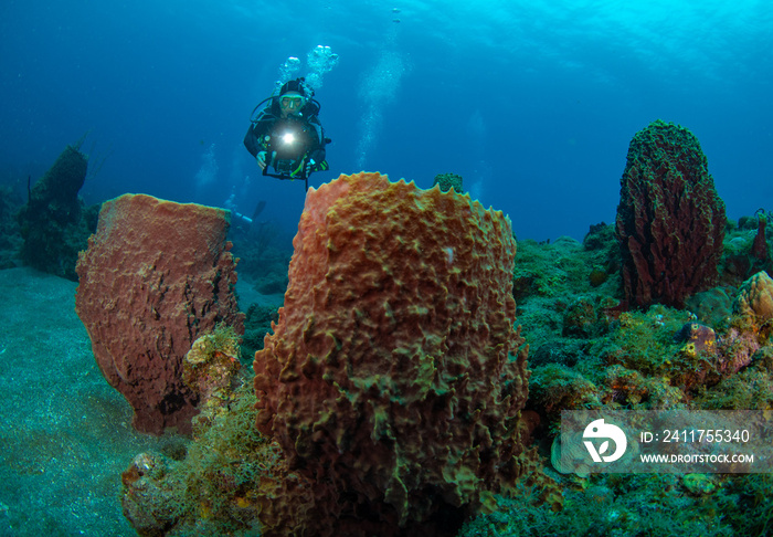 Woman scuba diver on the coral reef off the Dutch Caribbean island of Saba