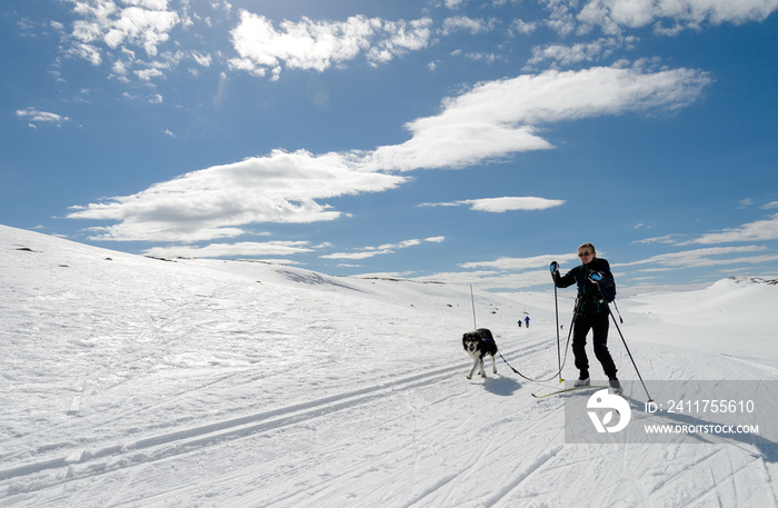 Girl easter time skiing in norwegian mountains with dog