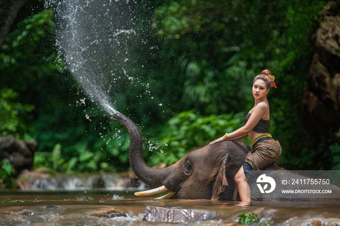 Thai Lanna women Riding an elephant in a stream, Chiang Mai, Thailand