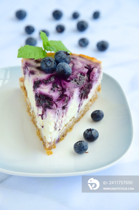 Blueberry cheesecake with mint leaf on white background. Selective focus