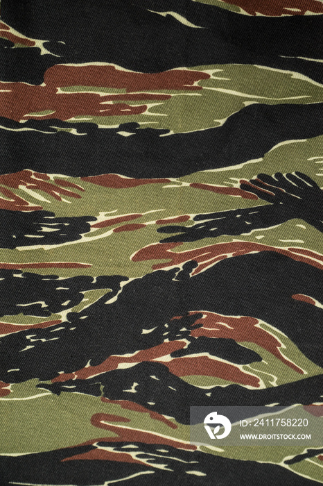 US vietnam green tigerstripe camouflage fabric texture backgroun