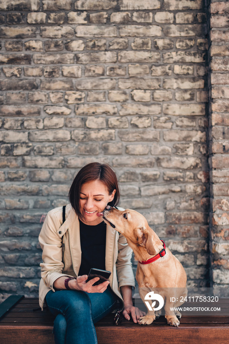 Woman sitting on the bench and using phone while dog is licking her face