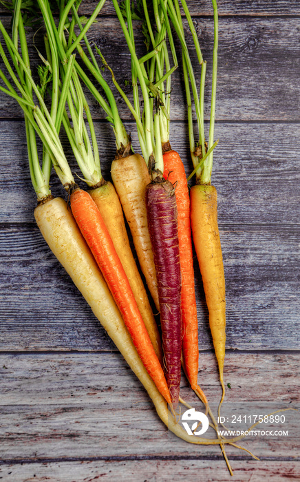 Ornamental Carrots