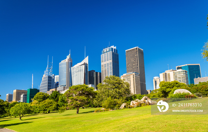 Skyscrapers of Sydney seen from Royal Botanical Garden