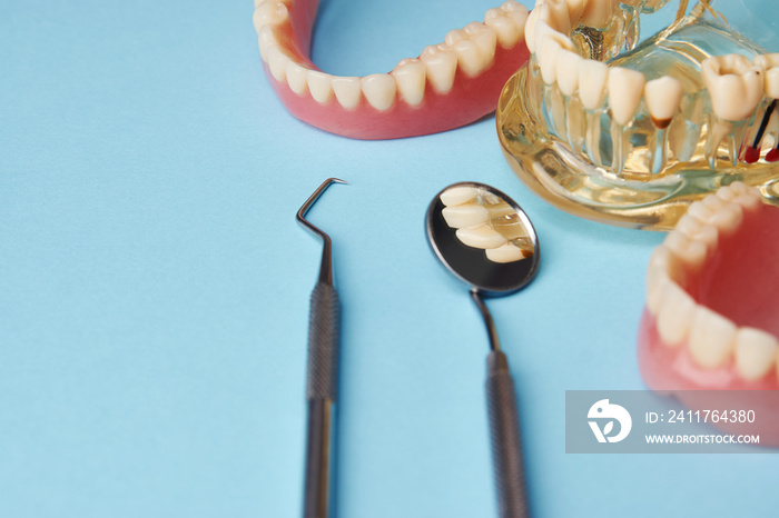 Artificial teeth on a white background with copy space