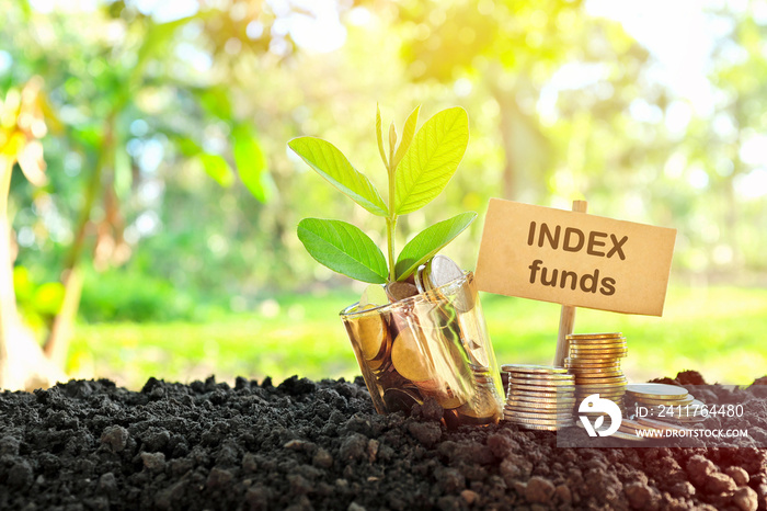 Investment on index funds concept. Coins in a jar with soil and growing plant in nature background.