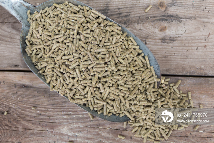 a spoon with pellets for rabbits for sale in the forage