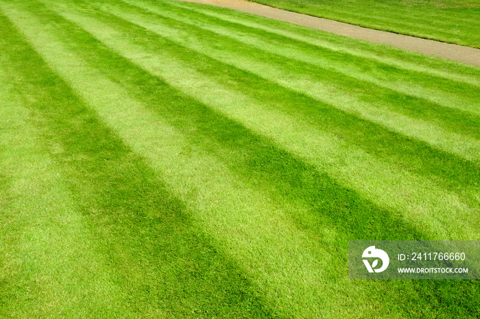 Recently cut garden lawn with mower stripes. Full frame background texture.