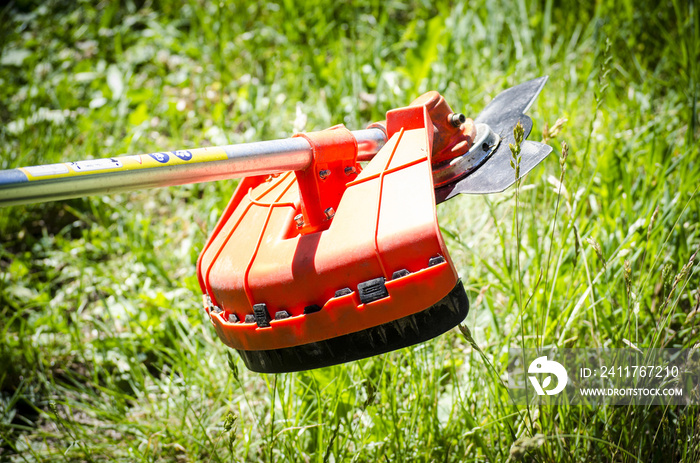 Mowing the grass