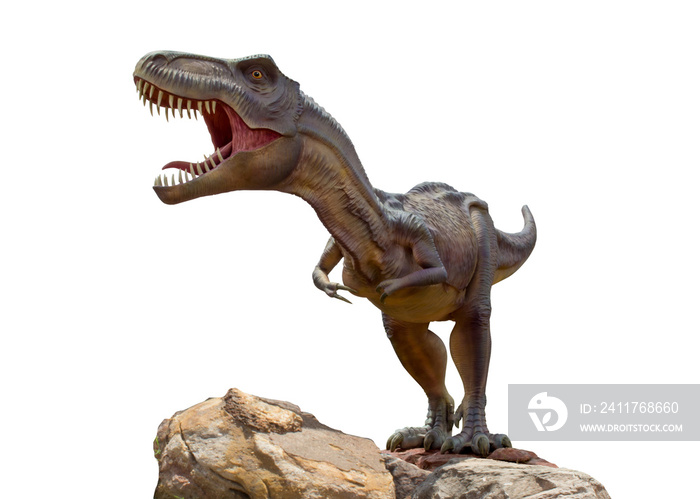 Siamotyrannus isanensis Model on white background. Tyrannosaurus Dinosaurs. clipping path.