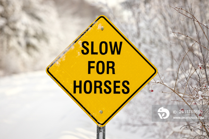 A Yellow Warning Sign reading Slow for Horses