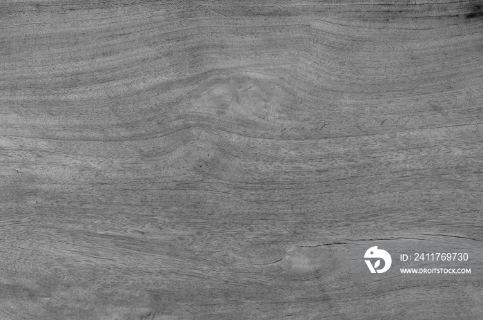 Gray wood texture. Abstract wood use as natural background surface with old natural pattern..