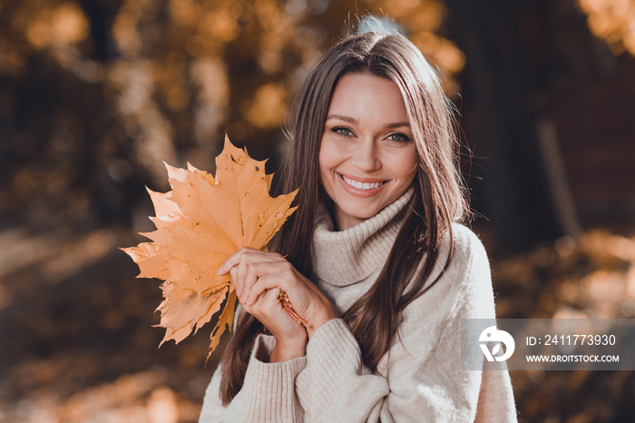 Portrait of cheerful positive lady beaming smile dressed trendy cozy comfort jumper outfit rejoice good mood sunny day outside