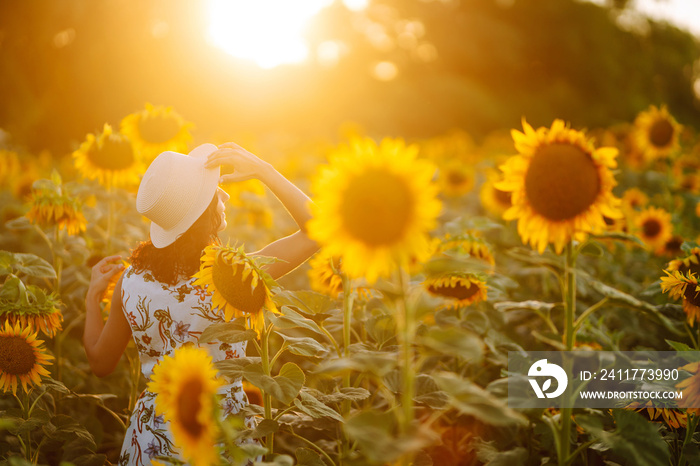 Young woman strolling through field with sunflowers at sunset. Carefree woman walking and enjoying beautiful nature environment. Summer holidays, vacation, relax and lifestyle.