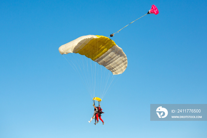 Tandem parachuting.  Tandem skydiving on a large parachute.